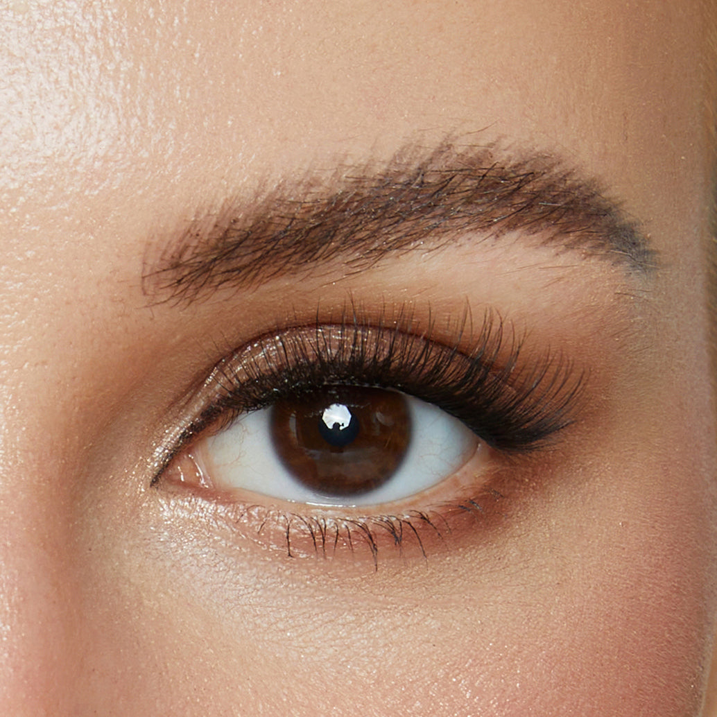 Glamour Doll | 72  Individual Lashes