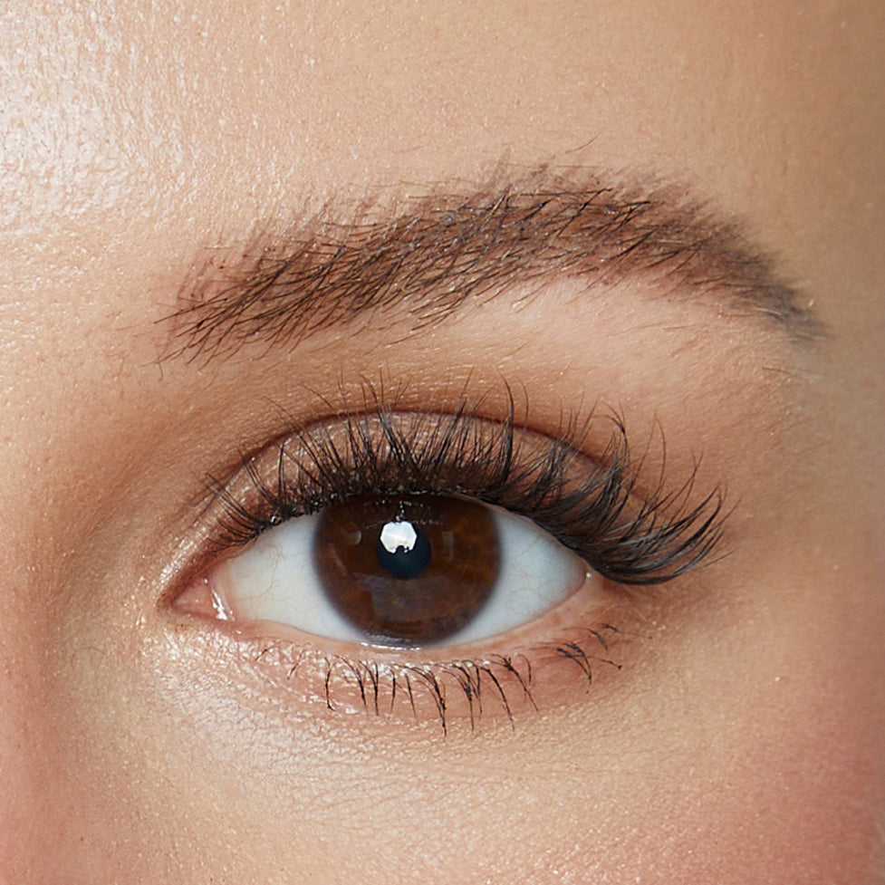 Moonlace | 72  Individual Lashes