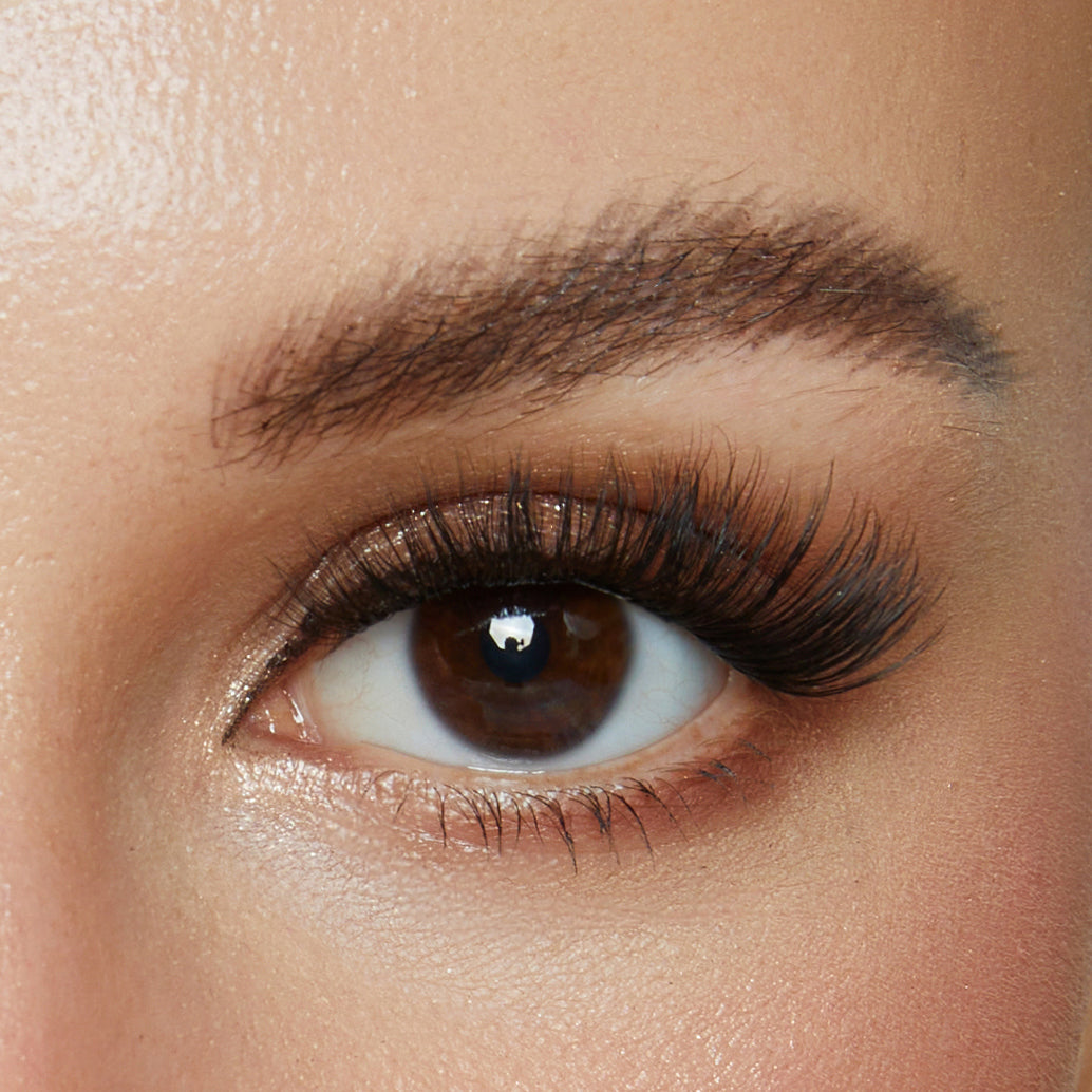 The Mayfair | 36 Individual  One-Grip Pre-Glued Lash