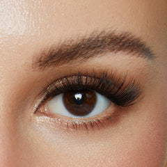 Close-up of The Mayfair lash look on a brown eye, showing full layered fibers along the upper lash line.