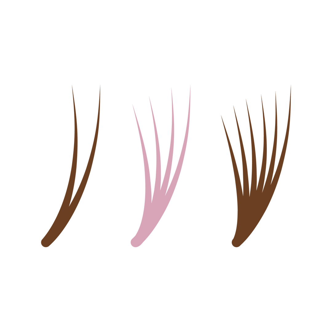 Illustration of three lash-cluster fans in pink and brown.